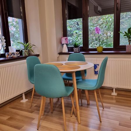 City Inn Premium Apartment تيميشورا المظهر الخارجي الصورة