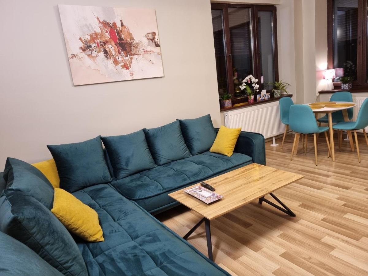City Inn Premium Apartment تيميشورا المظهر الخارجي الصورة
