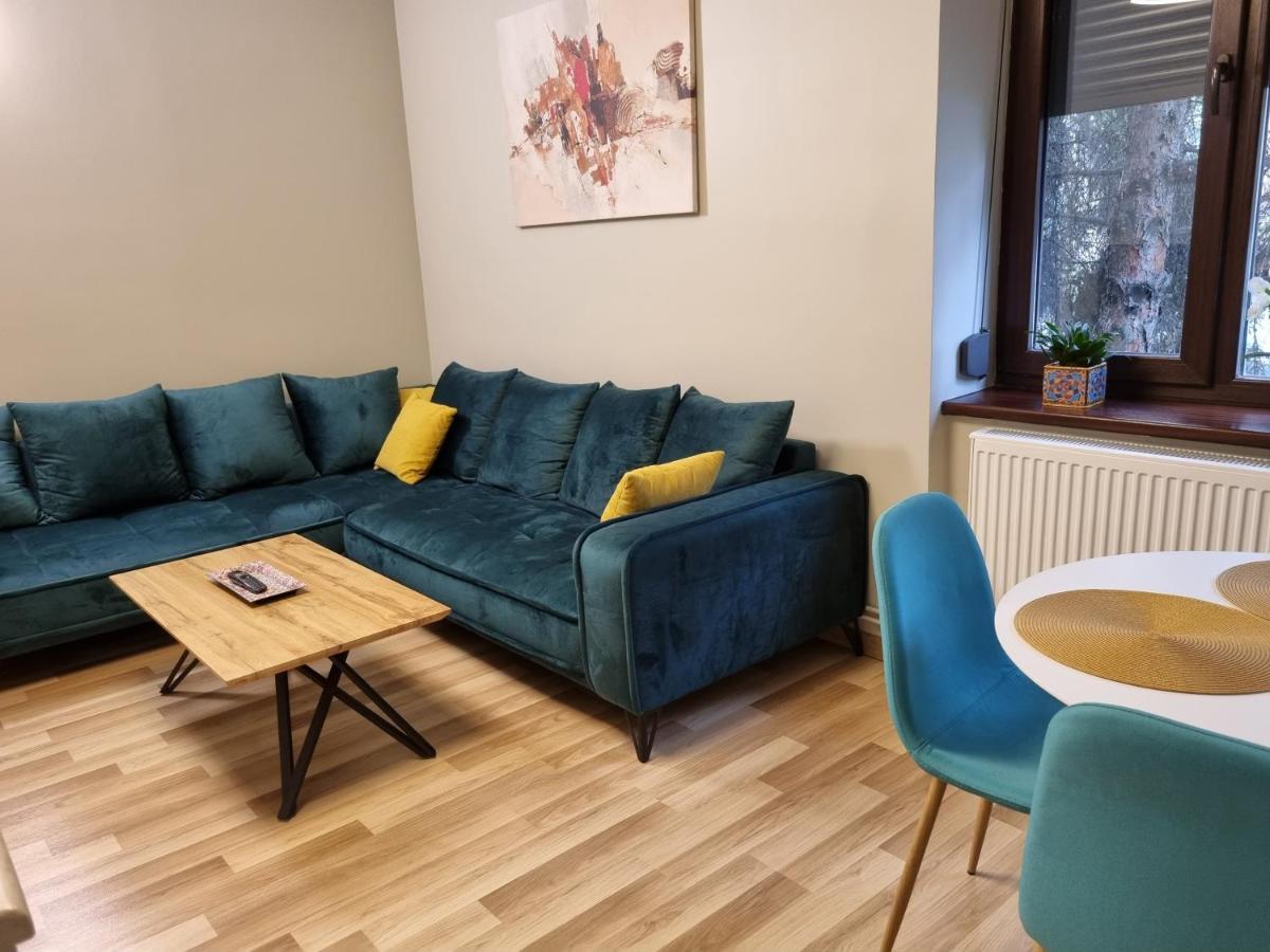 City Inn Premium Apartment تيميشورا المظهر الخارجي الصورة