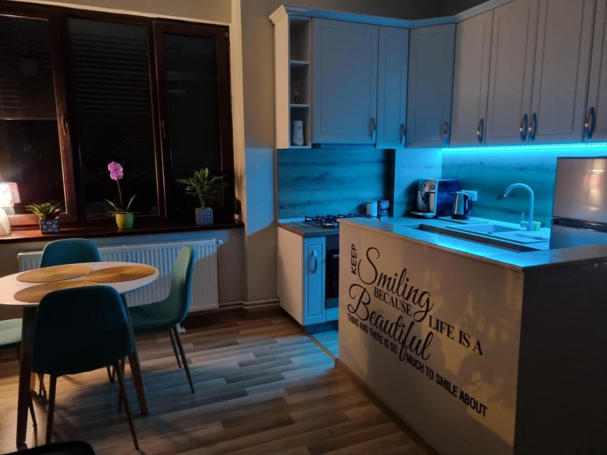 City Inn Premium Apartment تيميشورا المظهر الخارجي الصورة